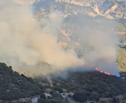 Πυρκαγιά σε δασική έκταση στην περιοχή Kεφαλόβρυσο Αχαΐας